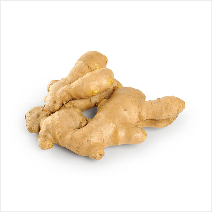 Ginger