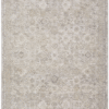 CY10 Gray Rug