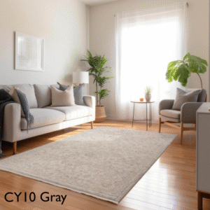 CY10 Gray Rug