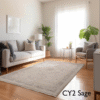 CY2 Sage Rug