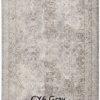 CY6 Gray Rug