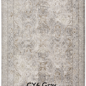 CY6 Gray Rug