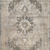 Dynamic Rugs Ruby 2185-197 Rug