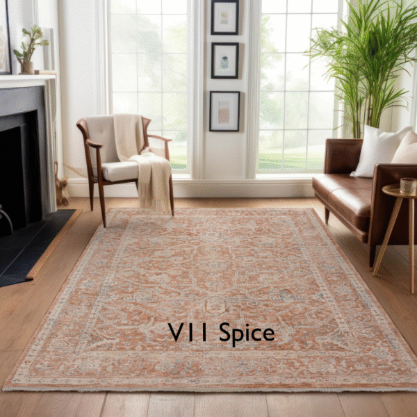 V11 Spice Rug