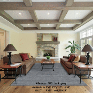 Alleanza 200 dark gray 3