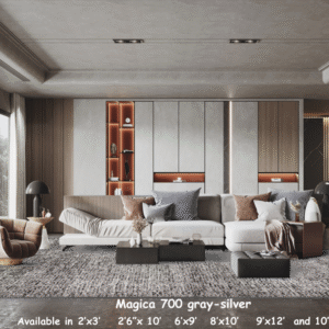 Magica 700 gray-silver