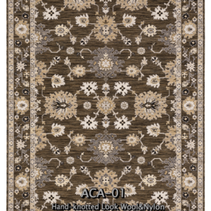 ACA - 01