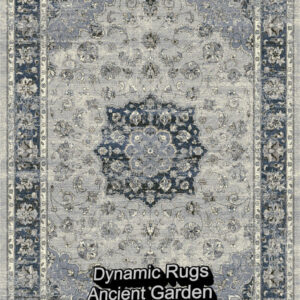 Dynamic Rugs AG 57559-9686 SILVER-BLUE