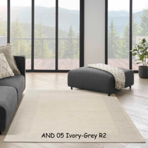 Andes 05 Grey